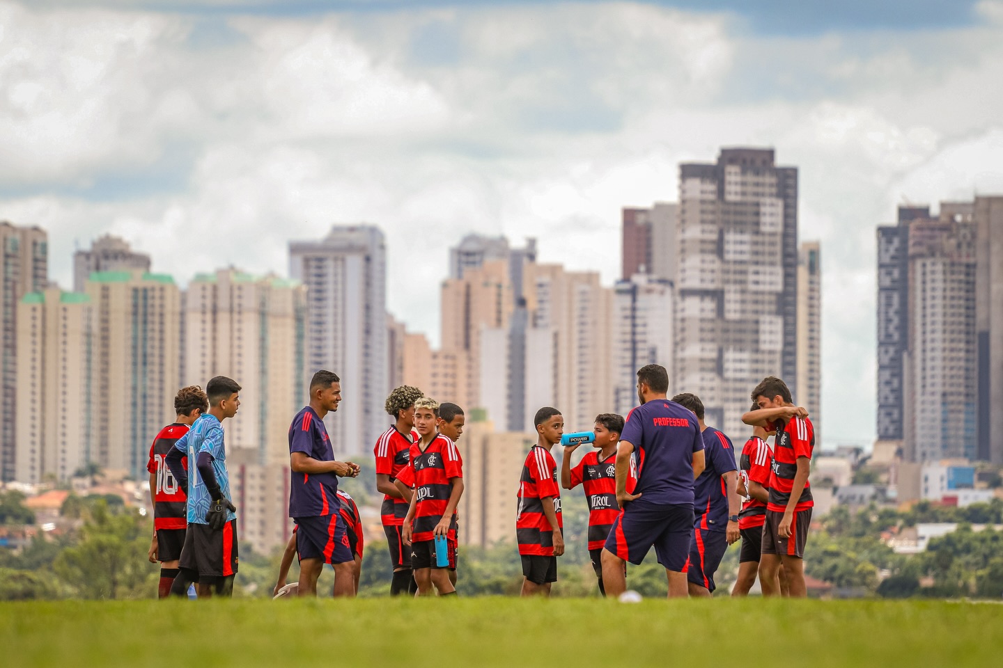 Treino