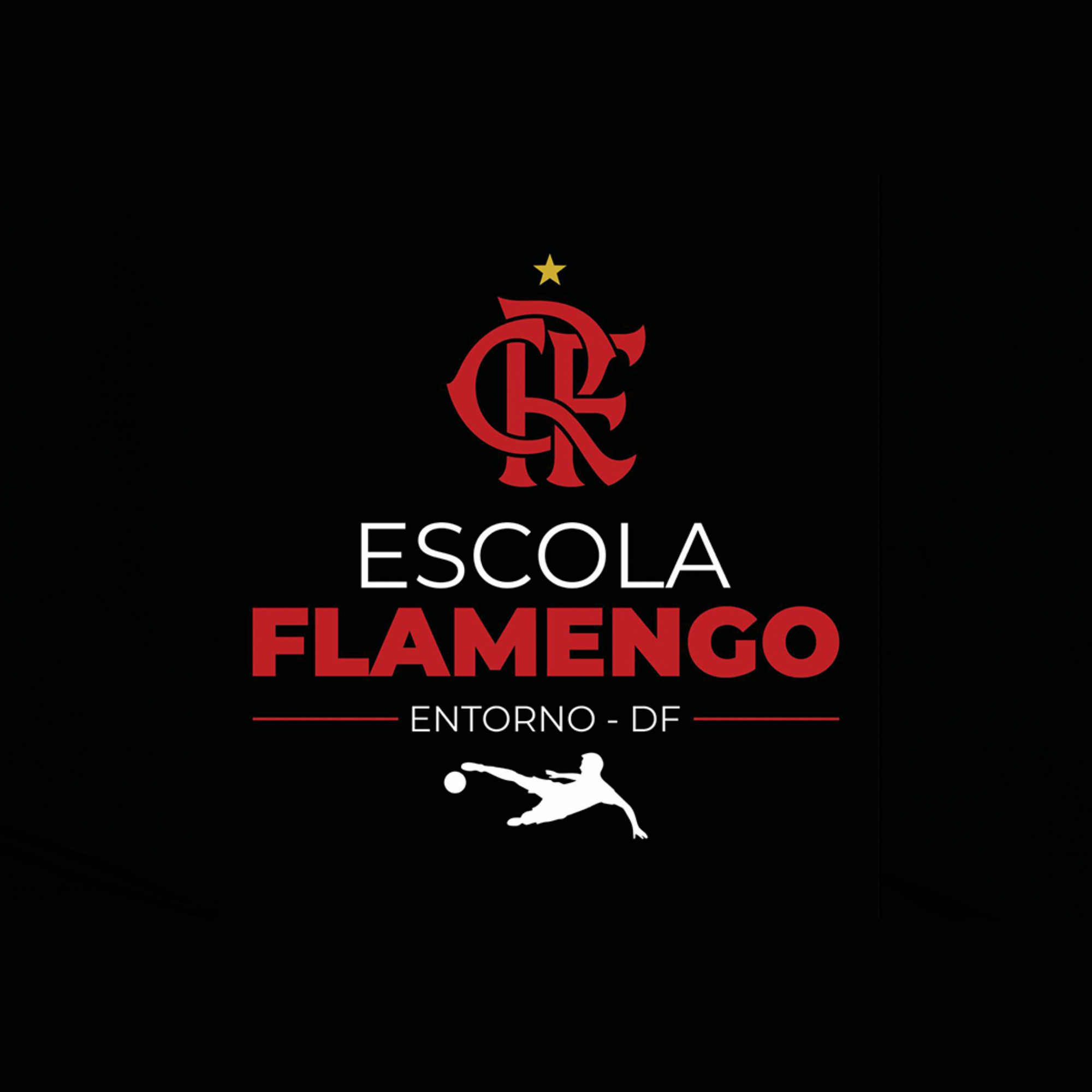 Escola Flamengo Entorno-DF